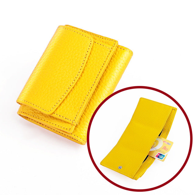 PetiteGuard™ - Cartera elegante con protección RFID para su tranquilidad